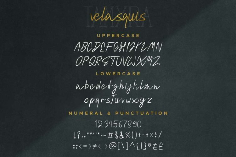 Velasquis Tamyra Font Duo - Image 2