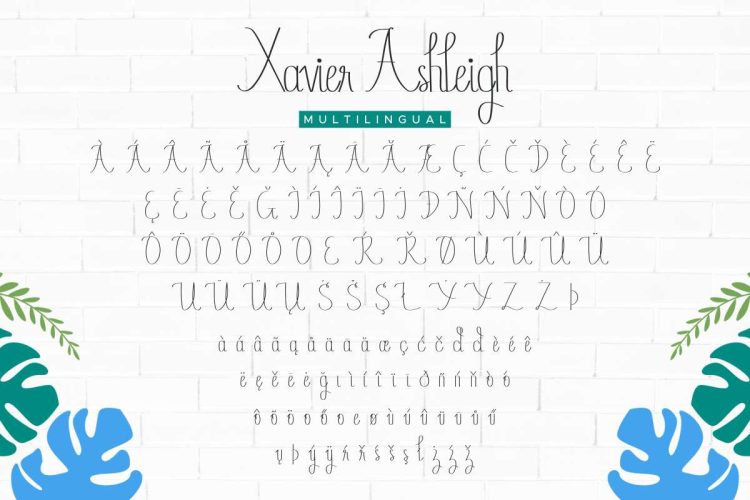 Xavier Ashleigh Calligraphy Font - Image 3