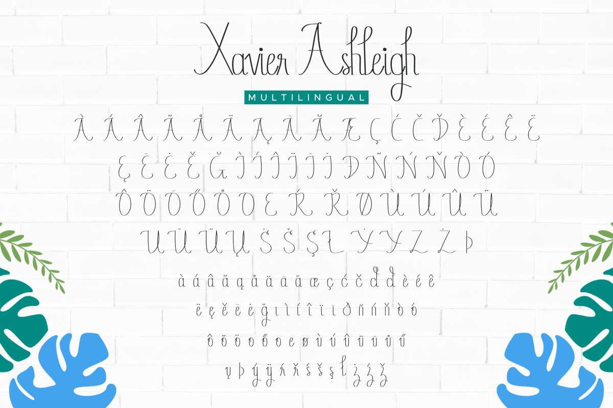 Xavier Ashleigh Calligraphy Font By Edricstudio