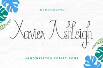 Xavier Ashleigh