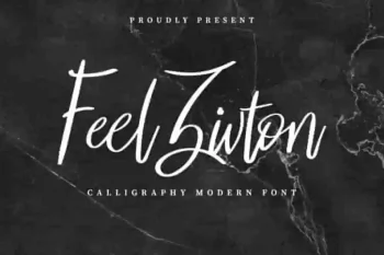 Feel Zivton