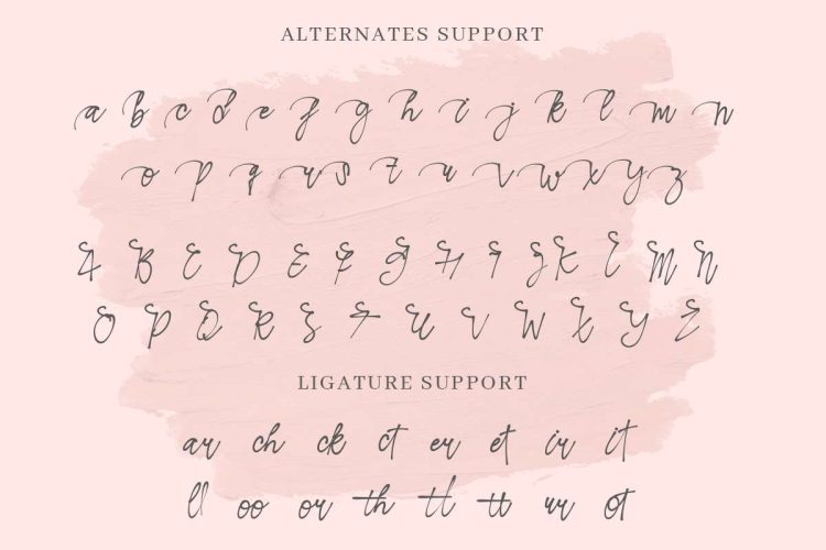 Sendayu Light Calligraphy Font - Image 7