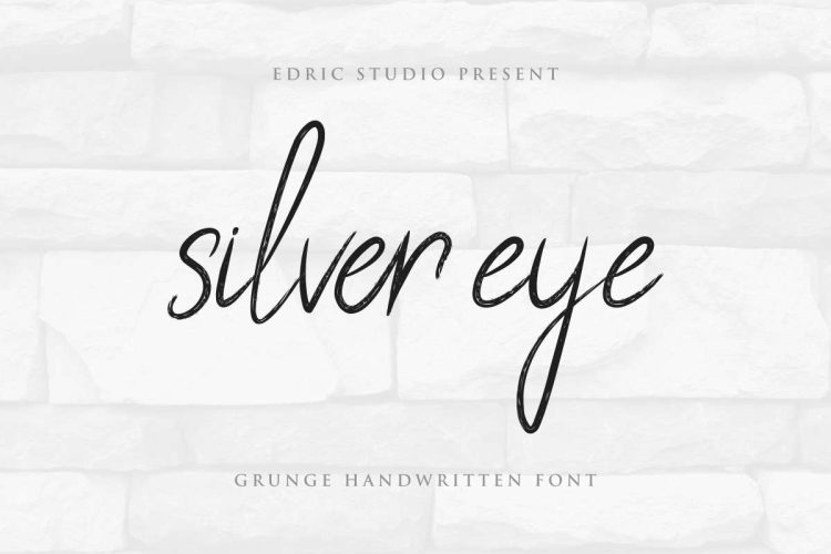 Silver Eye Handwritten Font - Image 10