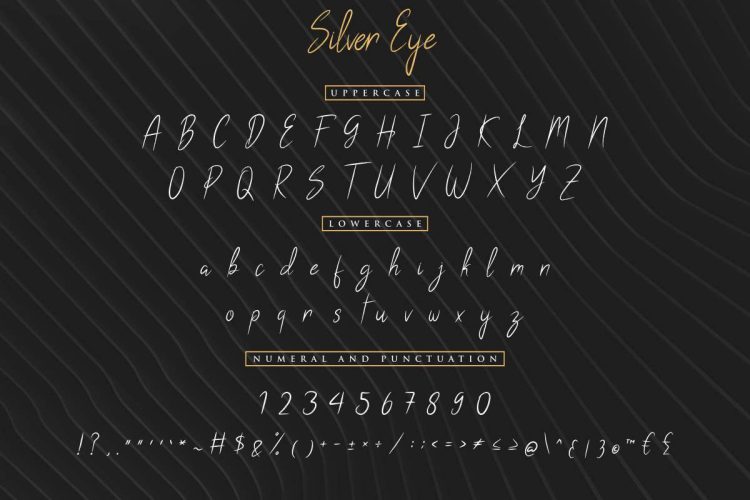 Silver Eye Handwritten Font - Image 7