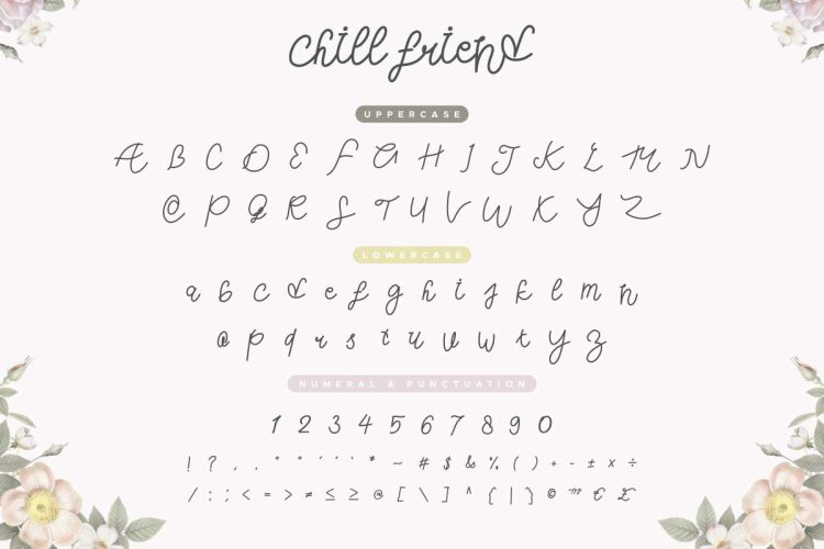 Chill Friend Modern Script Font - Image 7