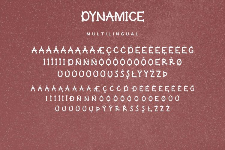 Dynamice Font Duo - Image 5