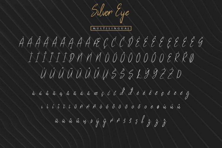 Silver Eye Handwritten Font - Image 4