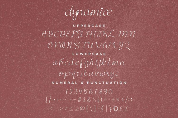 Dynamice Font Duo - Image 3