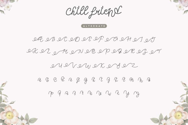 Chill Friend Modern Script Font - Image 2