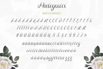 Photogenics Luxury