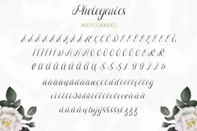 Photogenics Luxury