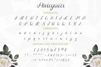 Photogenics Luxury