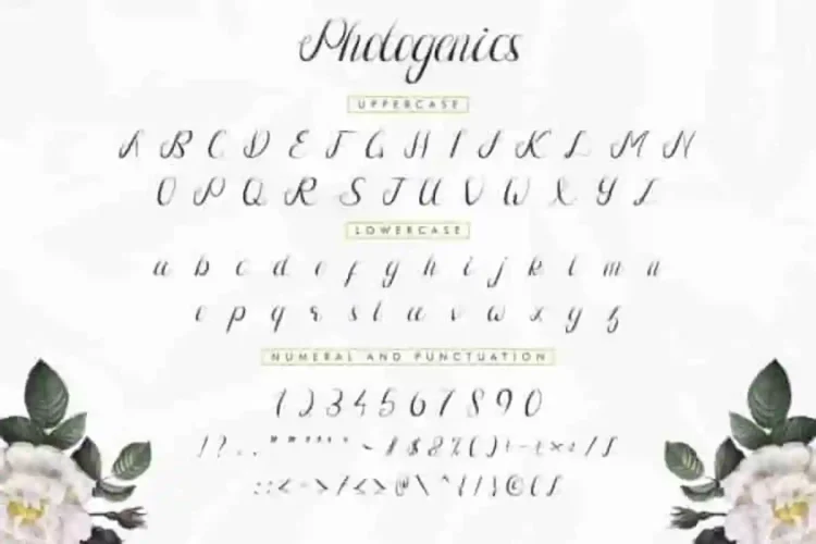 Photogenics Luxury