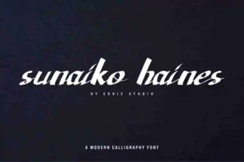 Sunaiko haines