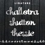 Nazlan-PreviewFont-Slide4