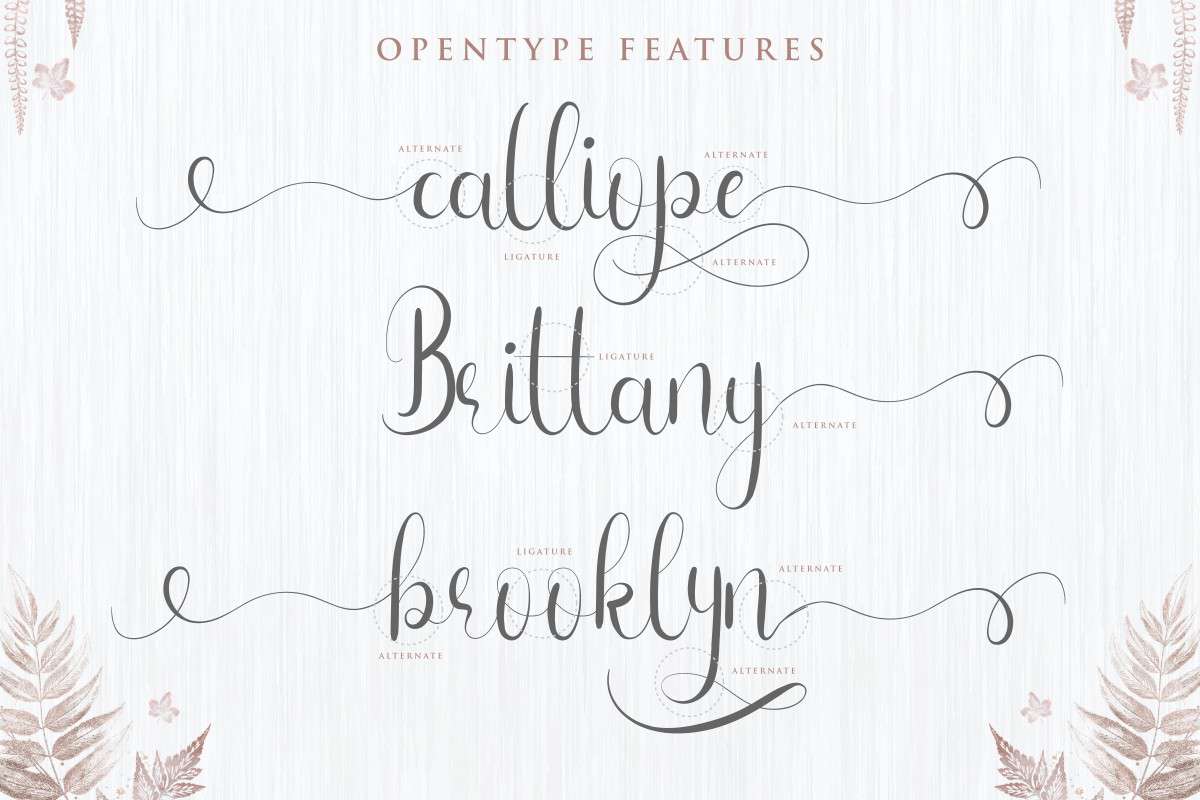 Infinity Gown Calligraphy Font by Edric Studio