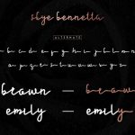 Nazlan-PreviewFont-Slide9