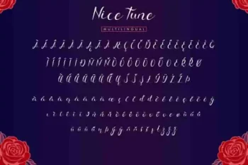 Nice Tune