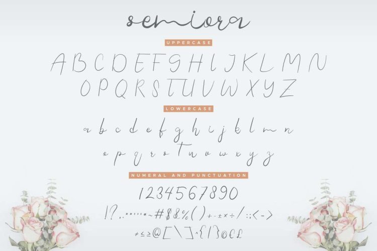 Semiora Calligraphy Font - Image 4