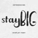 Stay BIG