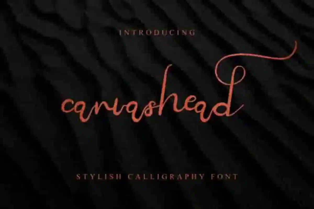 Canvashead