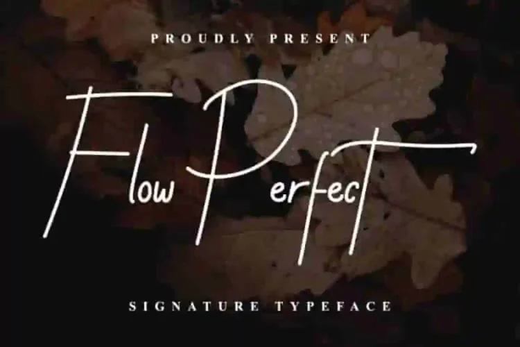 Flow Perfect
