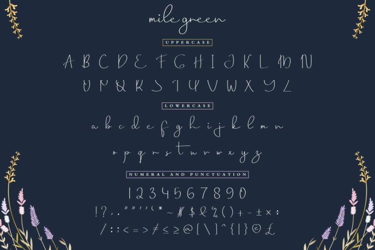 Mile Green Signature Font - Image 4