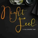 Night Feel