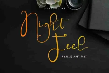 Night Feel