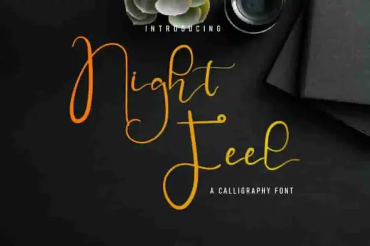 Night Feel