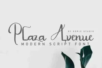 Plaza Avenue