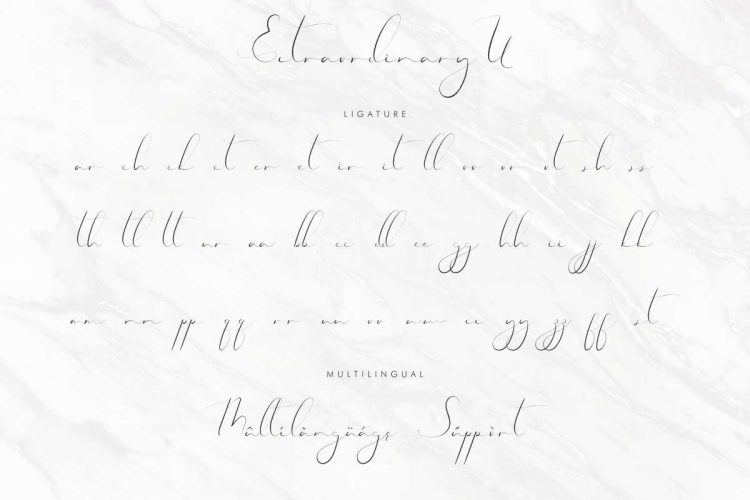 Extraordinary U Calligraphy Font - Image 4