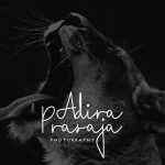 Ilham-PreviewFont_ 4