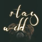 Nazlan-PreviewFont-Slide6