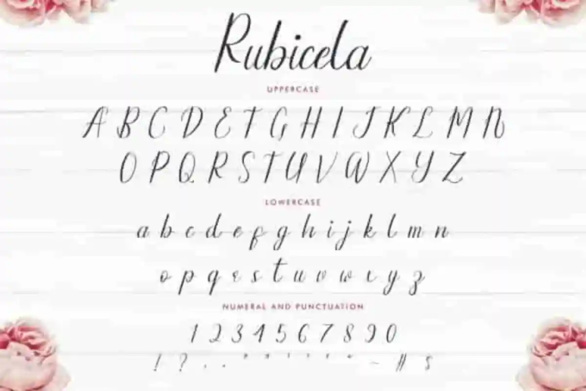 Rubicela