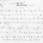 Bestnine Calligraphy Font