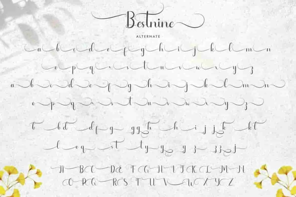 Bestnine Calligraphy Font