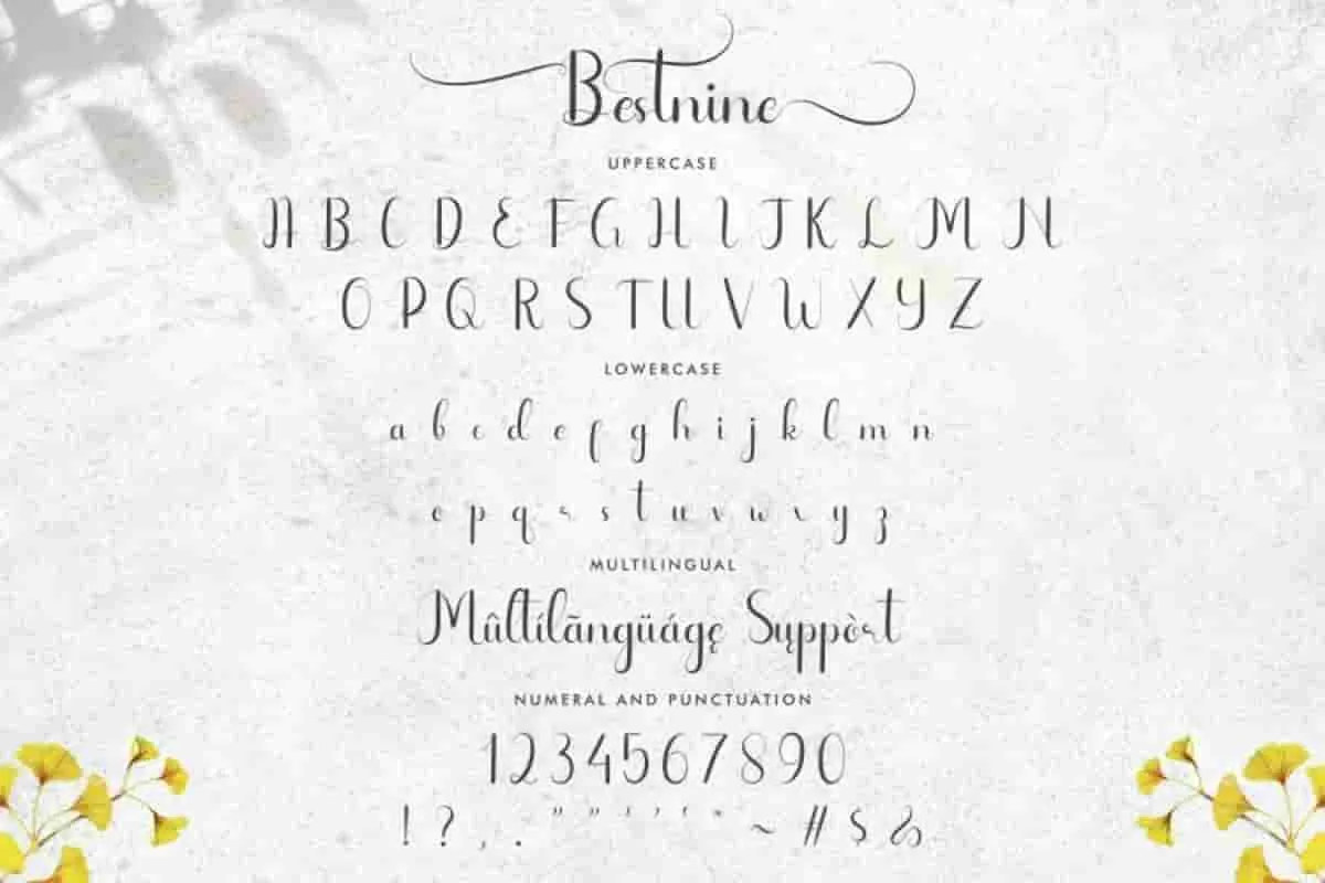Bestnine Calligraphy Font