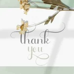 Bestnine Calligraphy Font