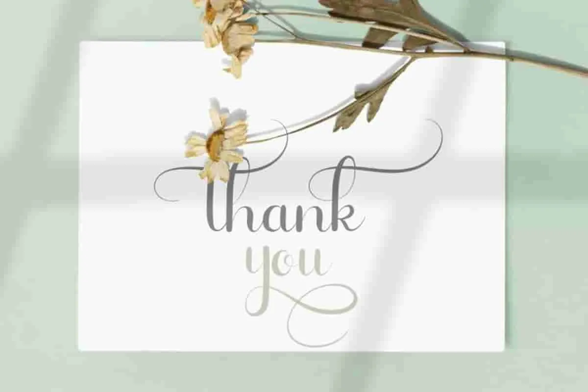 Bestnine Calligraphy Font