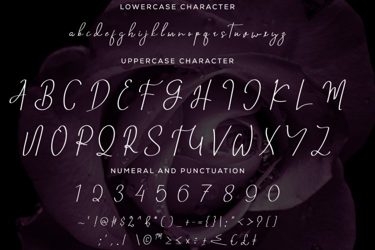 Fingertipz Font - Image 7