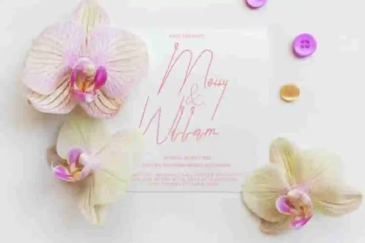 Without Love