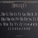Brockley-Slide3