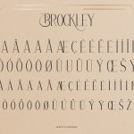 Brockley-Slide5