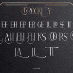 Brockley-Slide7