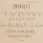 Brockley-Slide9