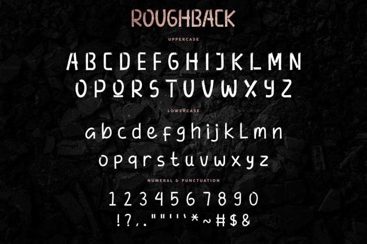 Roughback Brush Font - Image 6