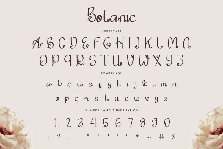 Botanic Fancy Font - Image 5