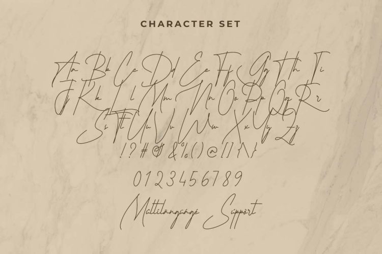 Salisbury Handwriting Font - Image 3