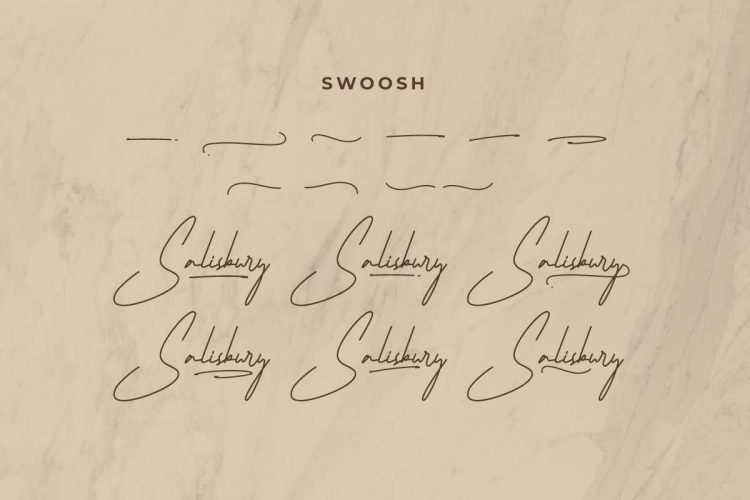 Salisbury Handwriting Font - Image 9